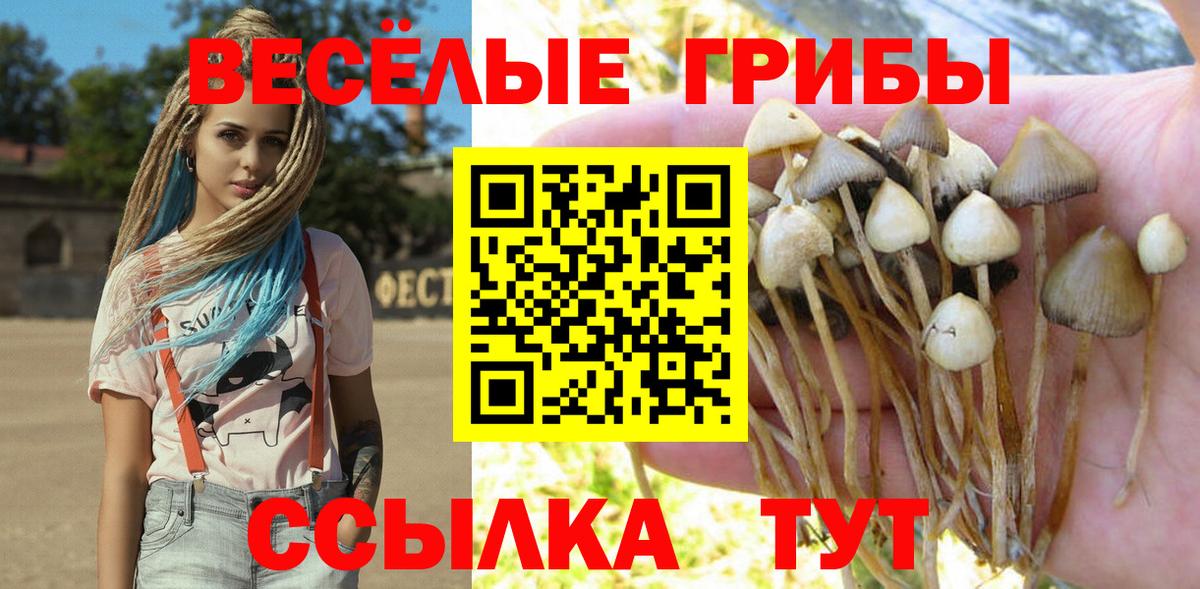 Волгоград  Псилоцибиновые грибы мухоморы  закладка  Галлюциногенные грибы ЛСД  Вход с VPN 